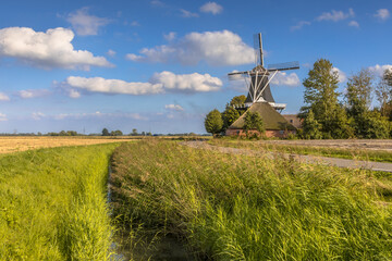 Wall Mural - Typical dutch landscape windmill