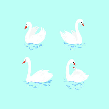 Cartoon swan sketch line icon. Сute bird icons set. Childish print for nursery, kids apparel, poster, postcard, pattern.