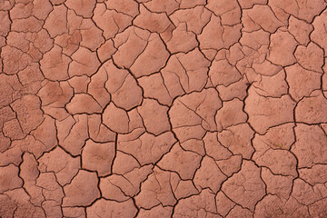 Wall Mural - Dry cracked dirt ground background texture