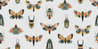 Vector seamless pattern with colorful insects and hand drawn abstract texture. Beetle, butterfly, moth