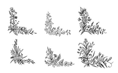Wall Mural - set of hand drawn floral coners. decorative frame design. flowers and plant elements. vector sketch.