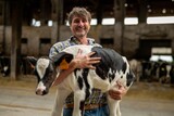 Authentic shot of a mature male farmer is holding on his arms an ecologically grown newborn calf used for biological milk products industry on a countryside farm.	