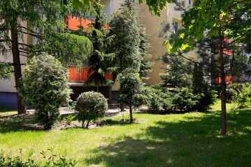 Wall Mural - Decorative plants in a housing estate