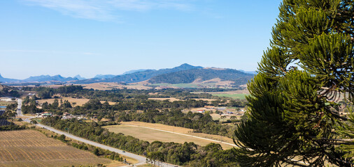 Poster - Paisagem rural com estrada