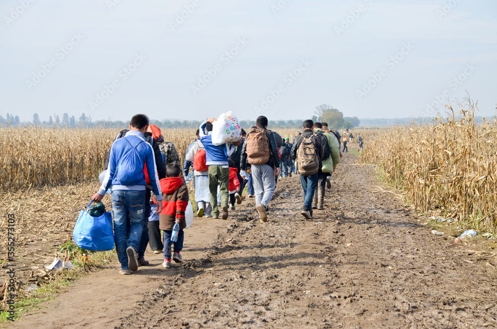 Refugees and migrants walking on fields. Group of refugees from Syria and Afghanistan on their way to EU. Balkan route. Thousands of refugees on border between Croatia and Serbia in autumn 2015. - obrazy, fototapety, plakaty 