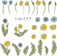 Dandelion Flower Childish Clipart Set. Yellow Flowers Clip Art Elements Isolated On White Background.