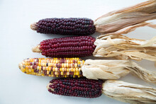 
Ear Of Corn Black, Red, Black