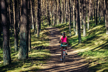 Canvas Print - Woman rides bike in Wolin National Park on Wolin - Baltic Sea island in Poland