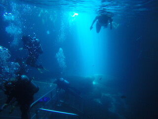 Wall Mural - people swimming underwater in a spring