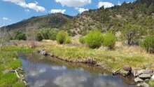 La Jara Creek Colorado Mountains