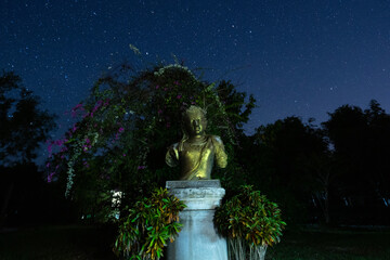 Canvas Print - fountain in the garden