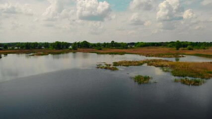Aufkleber - drone flies above river with blue water surrounded green trees top view on nature landscape