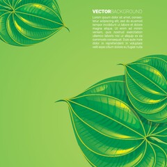 Poster - Abstract leaves background