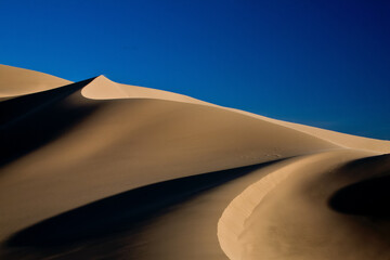 sand dunes in the sahara desert