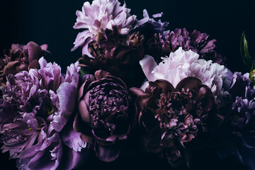 Beautiful Violet peonies bouquet on black. Floral background. Natural flowers pattern