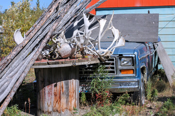 Old Crow, Canada. Left side view of a wooden old table in the outside covered with caribou and moose antlers, pieces of junk and a blue car in the background with a green and red garage door behind.