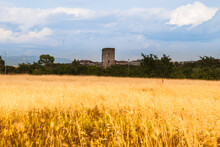 Field Of Wheat Ears With A Tumbledown Tower In The Background