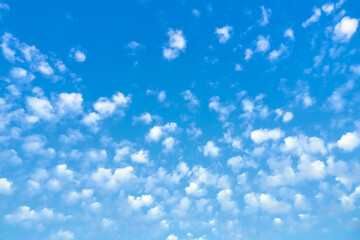 Wall Mural - blue sky with lots of small clouds