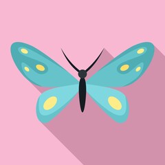 Poster - Wedding butterfly icon. Flat illustration of wedding butterfly vector icon for web design