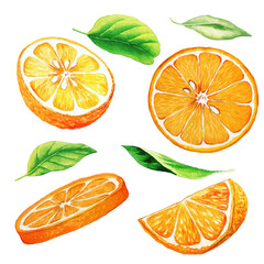 Wall Mural - Set of parts of orange fruit and leaves