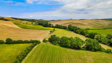 Sticker - Amazing aerial view of wheat field with poppies