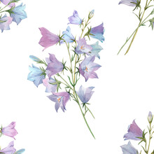 Beautiful Seamless Pattern With Watercolor Gentle Bluebell Flowers. Stock Illustration.