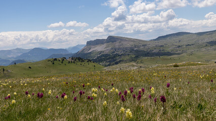 Sticker - Mountain hike on the Vercors Highlands, France