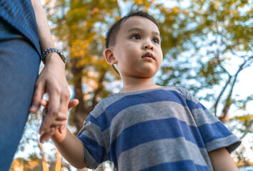 Wall Mural - portrait of a little boy standing and holding mother hand in a park