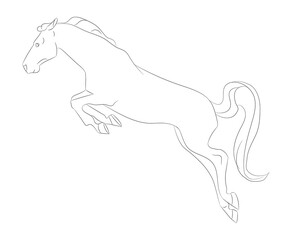 Wall Mural - horse vector illustration, line drawing, vector