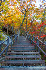 Wall Mural - Steep staircase at Bukhansan national park near Seoul, Republic of Korea