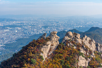 Wall Mural - Aerial view of Seoul from Bukhansan national park, Republic of Korea