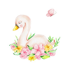 Beautiful Swan With Pink And Yellow Flowers And Butterfly; Watercolor Hand Draw Illustration; Can Be Used For Card And Invitation; With White Isolated Background