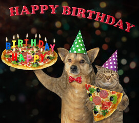 Wall Mural - The beige dog and the cat in party hats carriy a holiday pizza with multi colored burning candles. Happy birthday. Dark background.