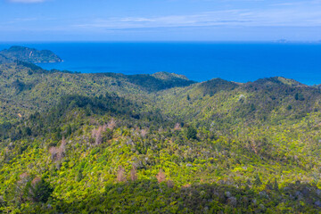 Wall Mural - Landscape of Coromandel peninsula in New Zealand