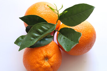 close up on oranges with leaves, selective focus, white background