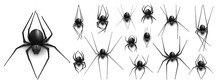 Collection Of Spider, Cobweb, Isolated On Black, Transparent Background. Spiderweb For Halloween Design. Spider Web Elements,spooky, Scary, Horror Halloween Decor. Hand Drawn Silhouette, Vector Illust