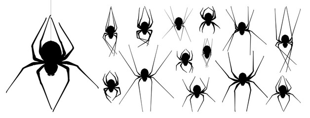 Collection of Spider, cobweb, isolated on black, transparent background. Spiderweb for Halloween design. Spider web elements,spooky, scary, horror halloween decor. Hand drawn silhouette, vector illust