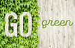 Banner with the inscription go green on a background of boards and green leaves