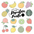Handdrawn_fruit_popular_3