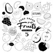 Handdrawn_fruit5_1