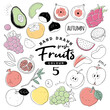 Handdrawn_fruit5_3