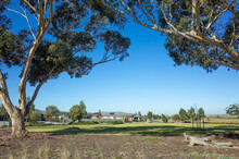 Background Texture Of Australian Suburban Landscape With Eucalyptus Trees, Public Park, And Some Residential Houses In The Distance. Copy Space For Text. Manor Lakes, VIC Australia.