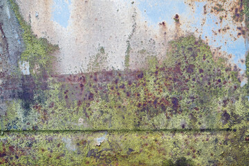 Wall Mural - Rust, cracked paint and moss on a sheet of iron look like seaweed