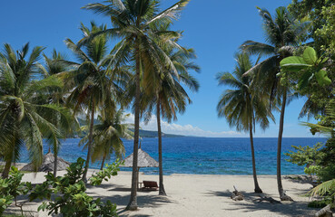 Wall Mural - the gorgeous beach and sea with coconut trees. Nature travel background