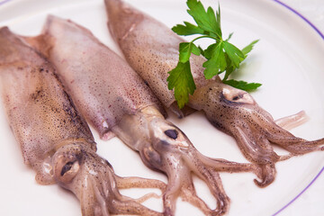 Wall Mural - squid or cuttlefish on white plate with parsley