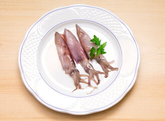 Wall Mural - squid or cuttlefish on white plate with parsley