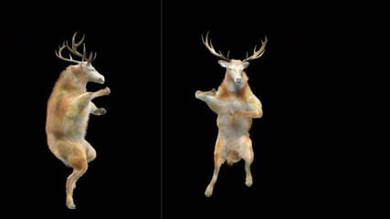 Wall Mural - deer dance cg fur 3d rendering animal realistic cgi vfx animation loop composition 3d mapping cartoo