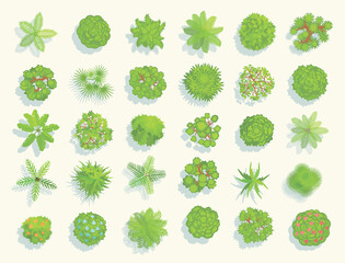 Trees top view. Different plants and trees vector set for architectural or landscape design. (View from above) Nature green spaces.