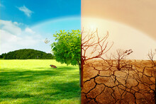 The Ozone Effect Of Arid Land With Tree Changing Environment./Concept Of Change Climate Or Global Warming.