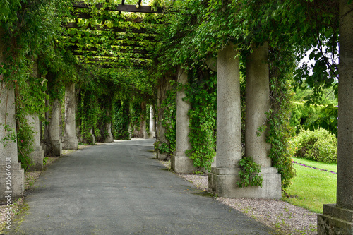 Fotografía Miejska pergola - Wrocław